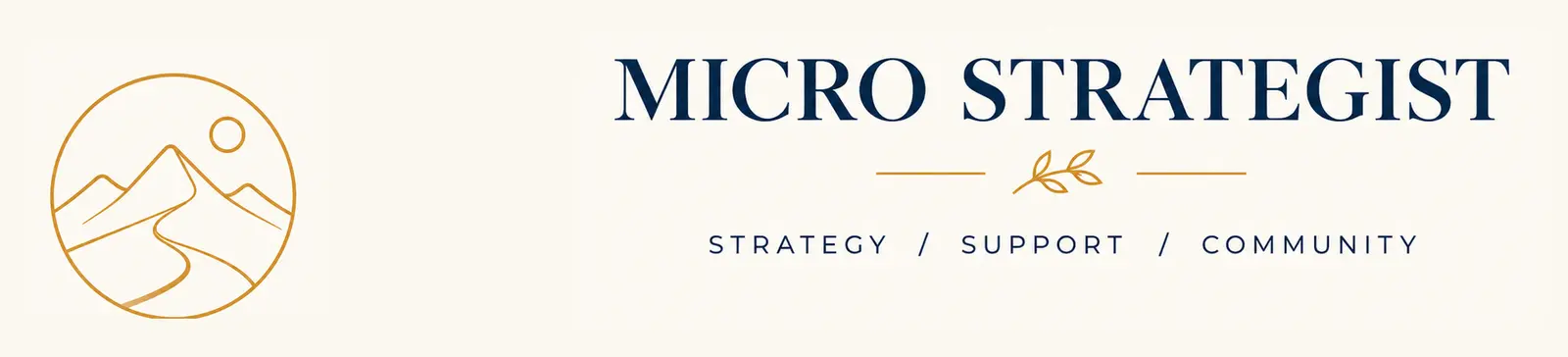 Micro Strategist — strategy, support and community